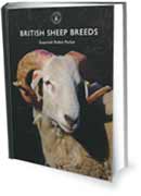 british sheep breeds book